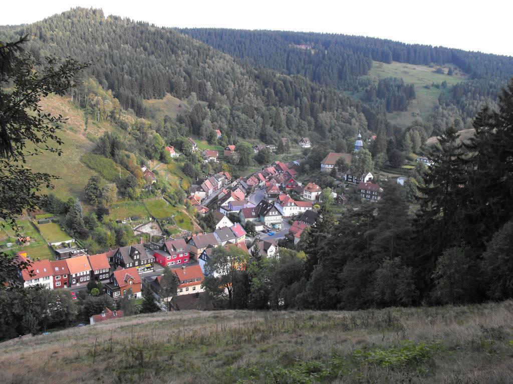 Ferienwohnung Sonnenhuegel 维尔德曼 外观 照片